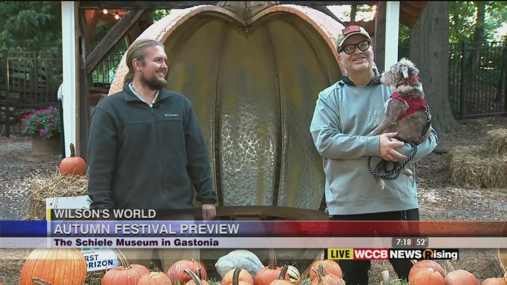 Wilson's World: Autumn Fest
