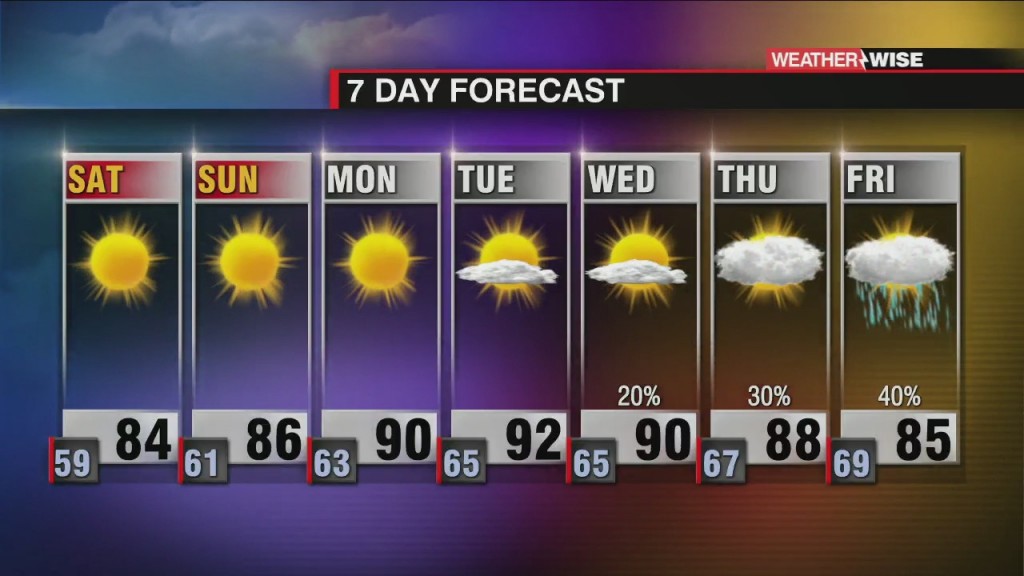 Warm & Sunny Weekend