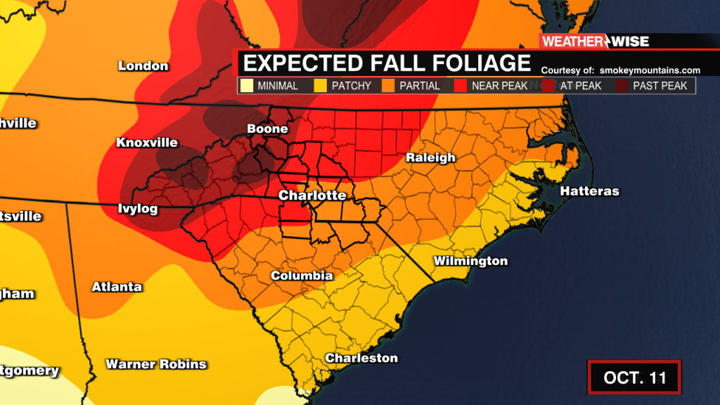 3weekly Foliage Forecast