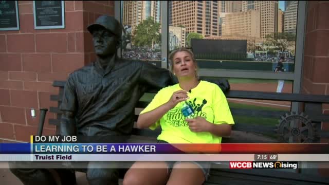 Do My Job: Hawker