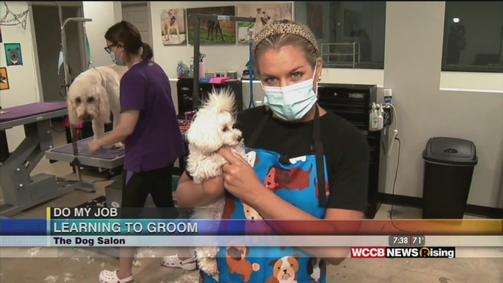 Do My Job: Dog Groomer