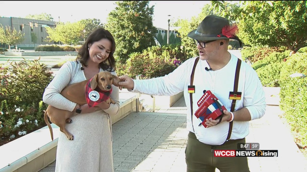 Wilson's World: Oktoberfest