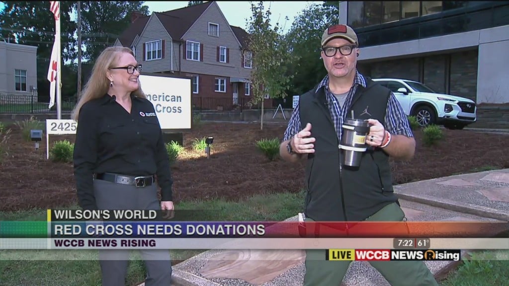 Wilson's World: Red Cross