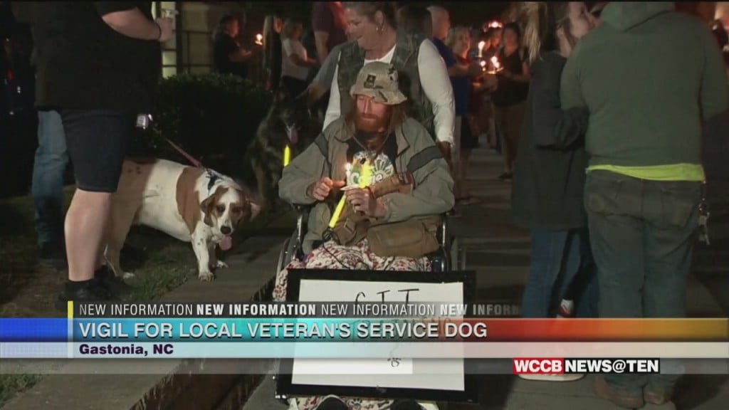 Homeless Veteran's Dog Hit And Killed