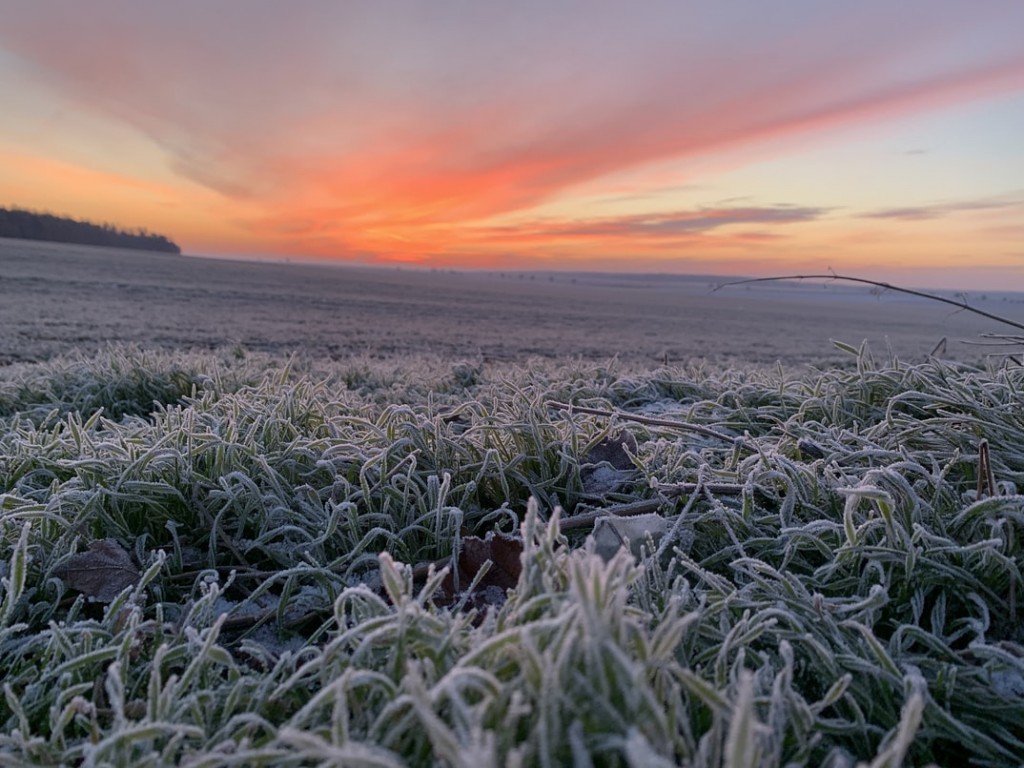 Frost