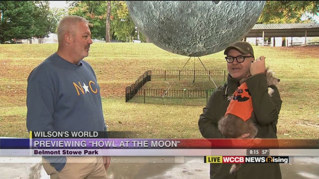 Wilson's World: Howl At The Night