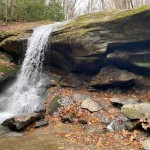 Unnamed 6