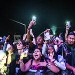 Music Festival Deaths