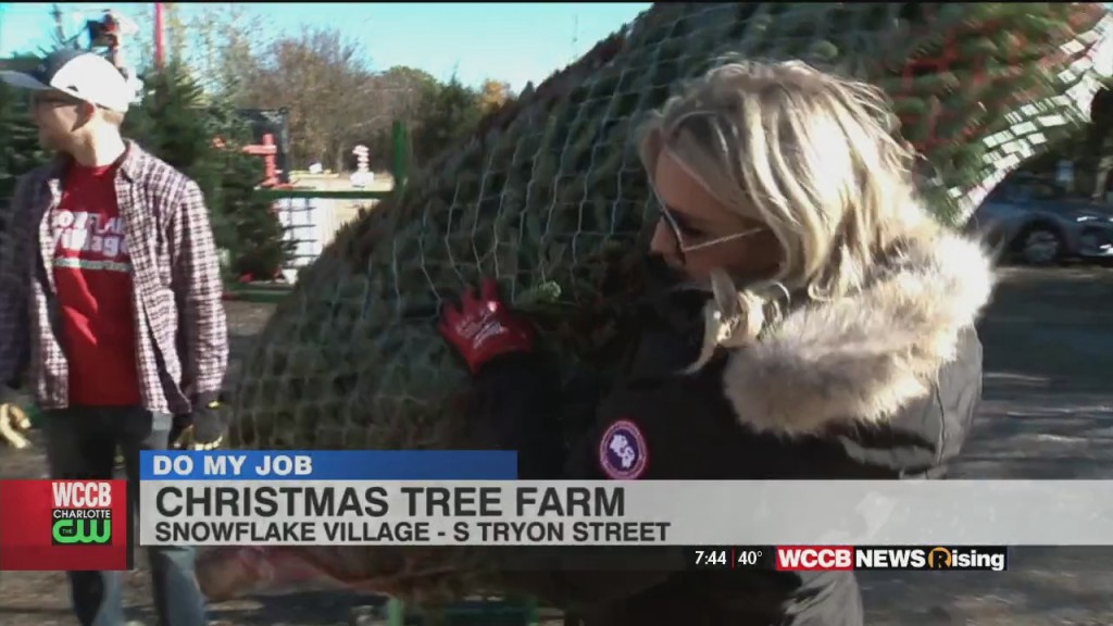 Do My Job: Christmas Tree Farm