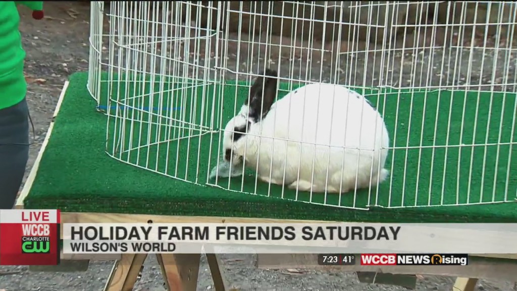 Wilson's World: Hanging With Holiday Farm Friends