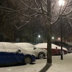 Img 4454