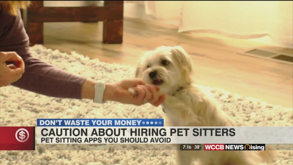 Don't Waste Your Money: Pet Sitter App Warning