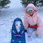 Charlotte Hornets Snowman By The Bhambri Family