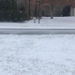 Snow In Northwest Charlotte 1/16/2022