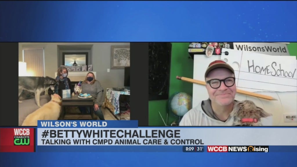 Wilson's World: Betty White Challenge With Cmpd Animal Care
