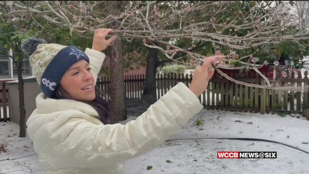Snow And Ice Making Impacts Across South Carolina's Upstate