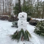 Hawaiian Snowman By Kelsey Gaylord