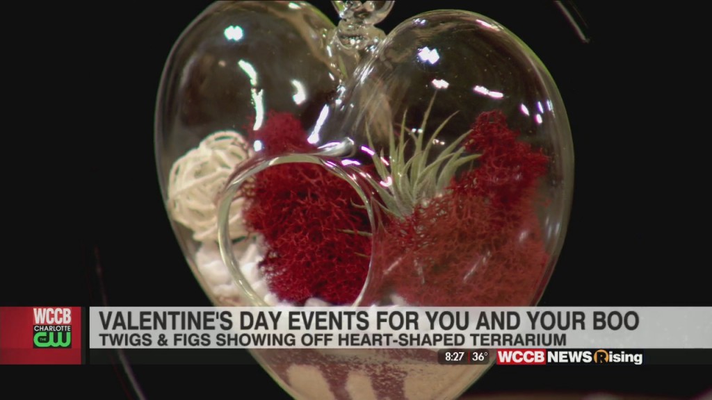 Valentine's Day Terrariums With Twigs & Figs
