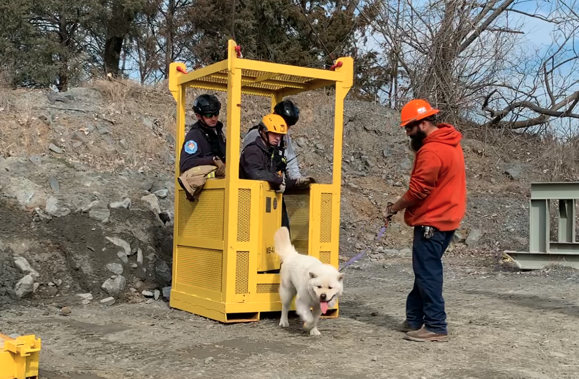 Charlotte Fire Crews Rescue Dog Stuck In Quarry | VIDEO - WCCB Charlotte