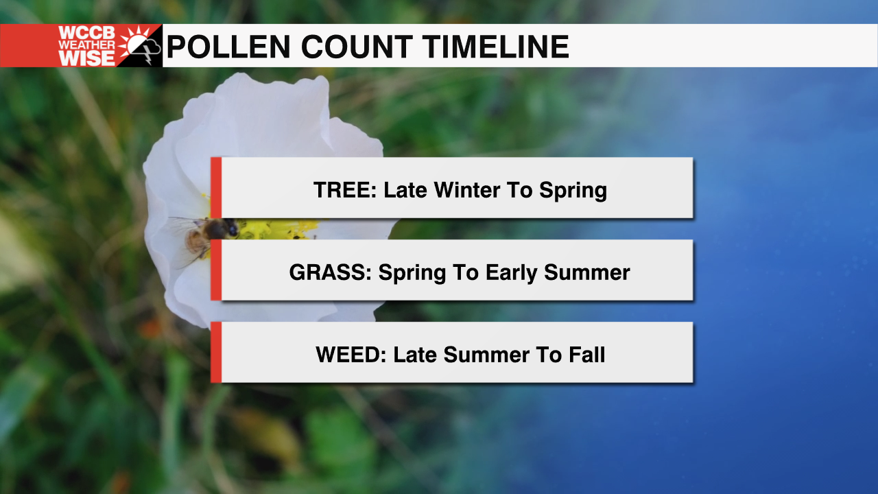 Pollen Takes Off Through The Weekend - WCCB Charlotte's CW