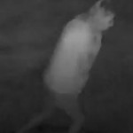 Alibria Libby Kerns Caught On Security Camera