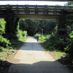 Mcalpinecampbell Amy Moore 7 20 28 571