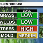 Pollen Forecast