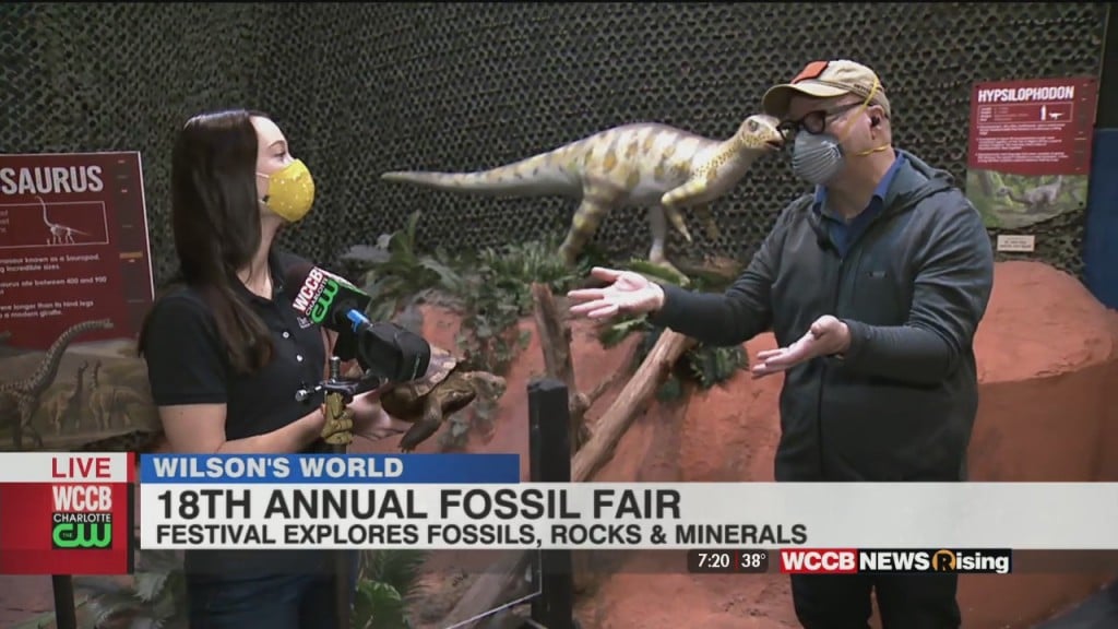Wilson's World: Fossil Fair