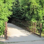 Mcalpinecampbell Amy Moore 7 20 24 571