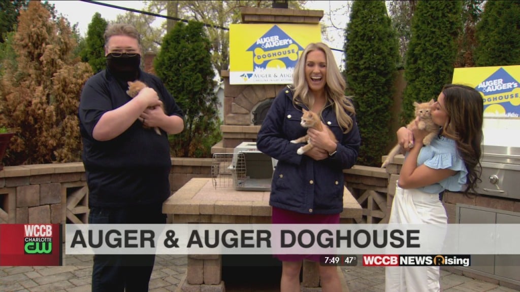 Auger & Auger's Doghouse: Meet Derek, Andy And Nicolas