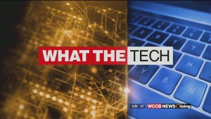 What The Tech: Buy Your Domain