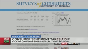 Don't Waste Your Money: Consumer Confidence Dips