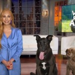 Episode 214