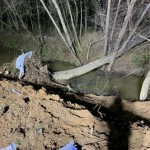 Taken By Employee City Of Charlotte, Charlotte Water