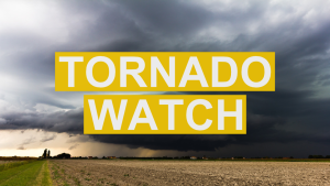 Auto Tornado Watch Open