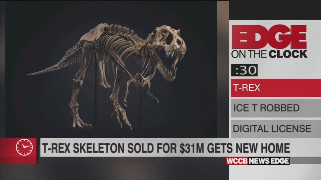 Edge On The Clock: $31 Million T Rex Skeleton Will Soon Be On Display