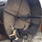 Episode 213
