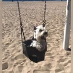 Episode 215