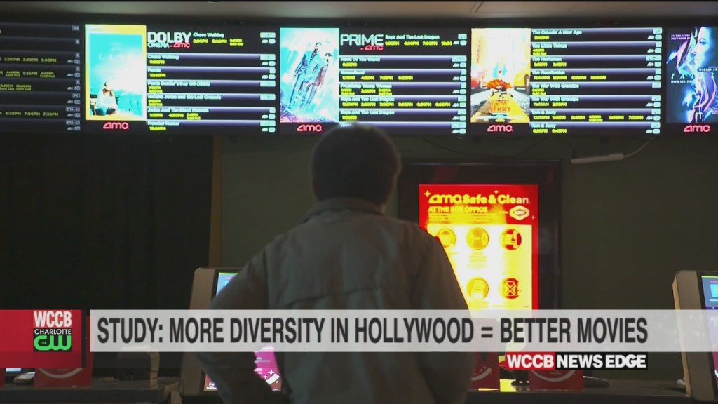 Is Diversity In Movies Important?