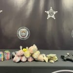 Munoz Arrest 3