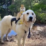 Episode 214