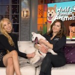 World's Funniest Animals: National Puppy Day Special