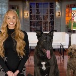World's Funniest Animals: National Puppy Day Special