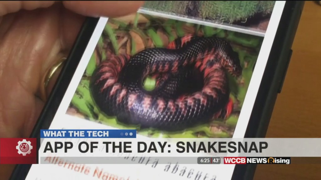 What The Tech: App Of The Day Snakesnap