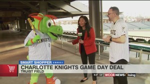 Smart Shopper: $5 Tickets To The Knights' Fest