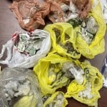 Narcotics Search Warrant Image 3