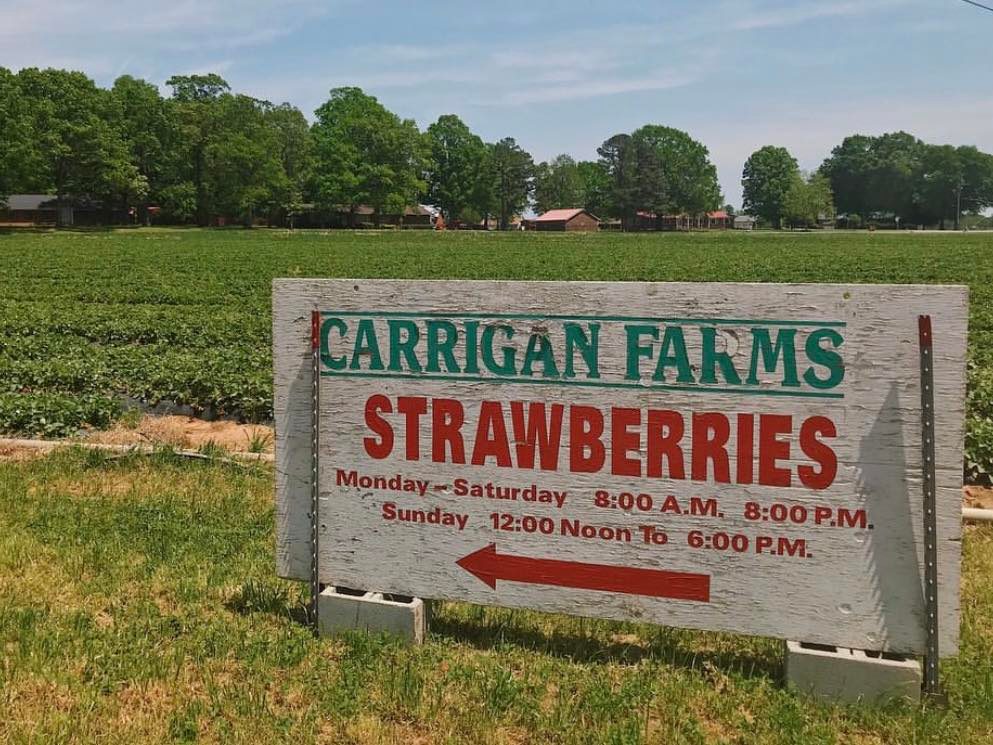 Courtesy Of Carrigan Farms Facebook Page