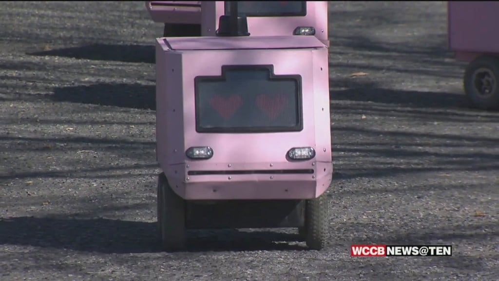 Pink Delivery Robots