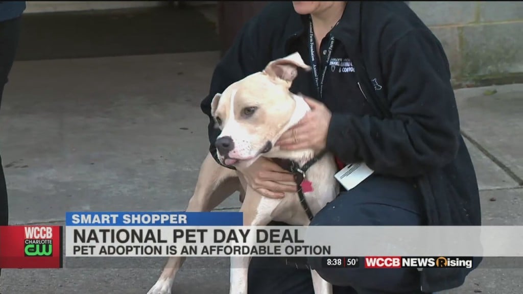 Smart Shopper: Cmpd Animal Care And Control Free Adoption For Vip Dogs