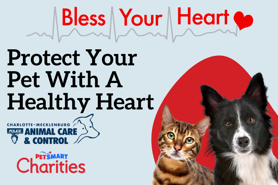 Bless Your Heart Protect Your Pet Petsmart Charities Thank You Combined Fb 900x600px Customsize8 High Quality